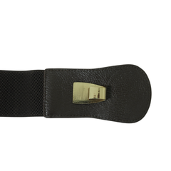 Waist Belt with Gold Interlocking Rings Buckle