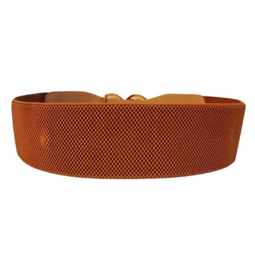 Brown Women Belt for Your Dress with Snake Buckle