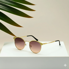 Silver & Blue Toned Rectangle Unisex Sunglass With Uv Protected Lens