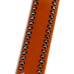 Trendy Brown Belt