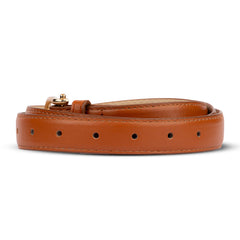 Women Brown Solid Casual Belt