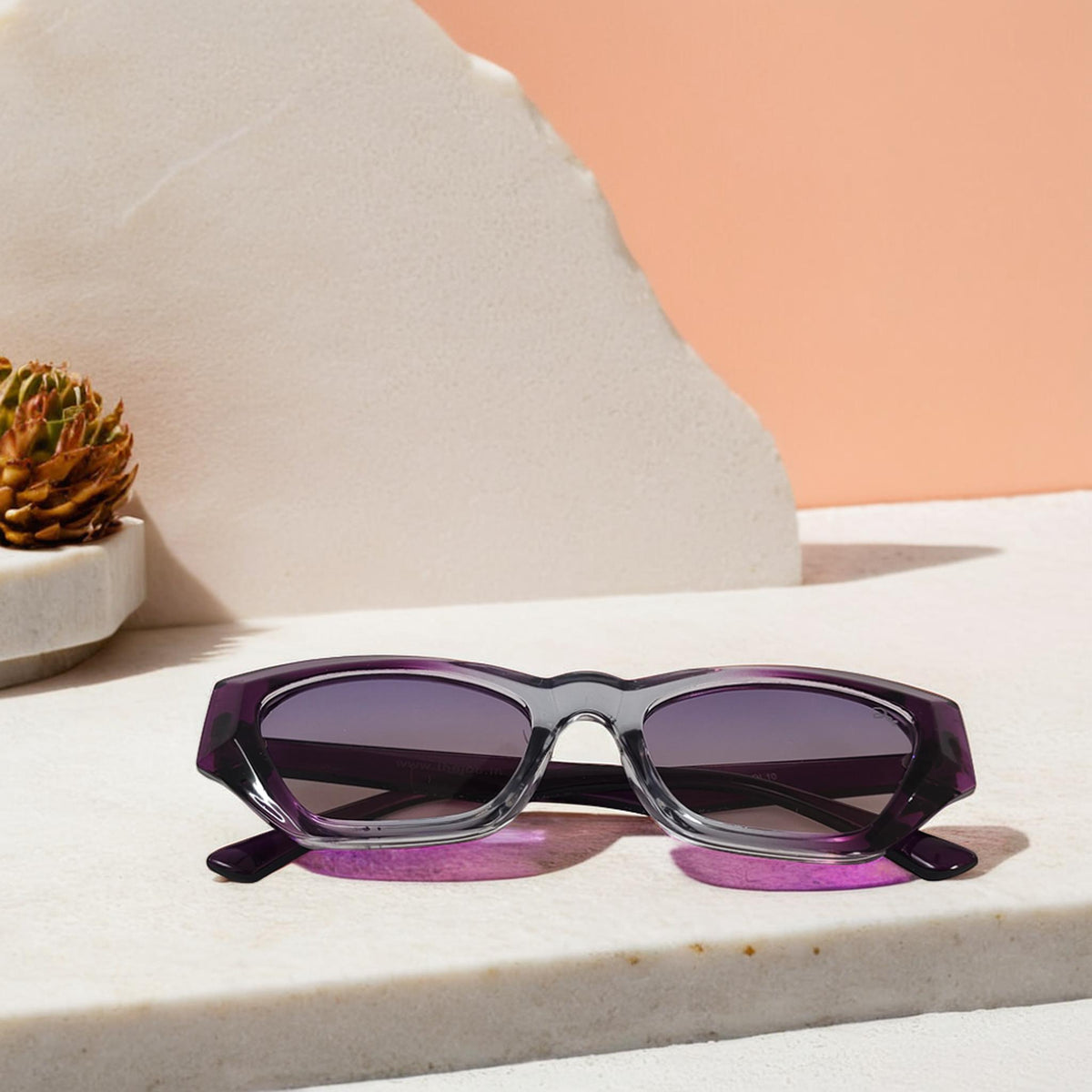 Joe's Purple Edge Sunglasses for Women